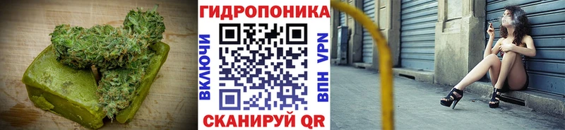 купить  цена  Нерюнгри  blacksprut как войти  Canna-Cookies марихуана 