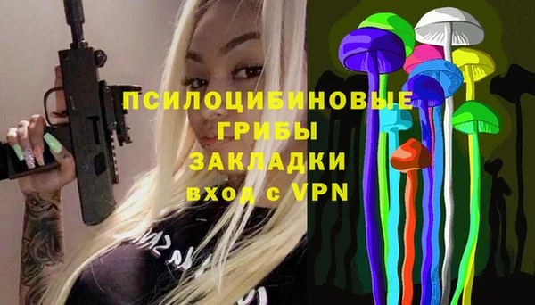 мяу мяу мука Баксан