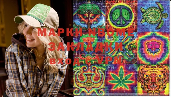мяу мяу мука Баксан